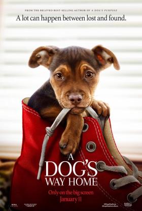 Egy kutya hazatér teljes film magyarul