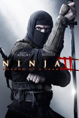 Ninja 2. - A harcos bosszúja teljes film magyarul